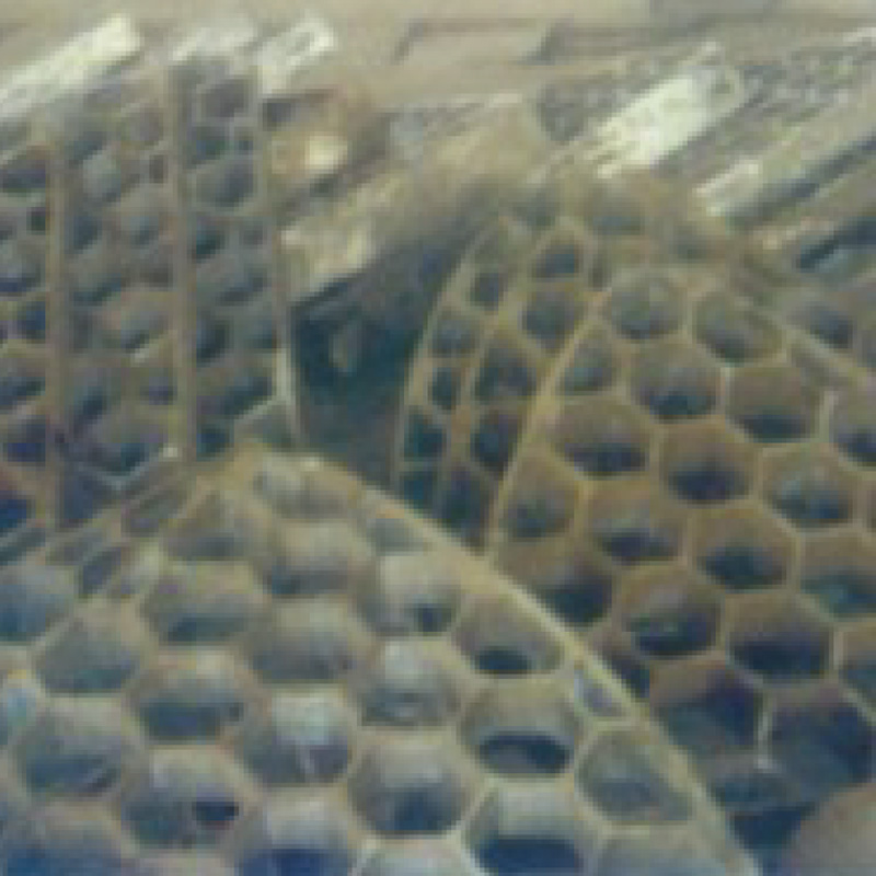 painéil honeycomb